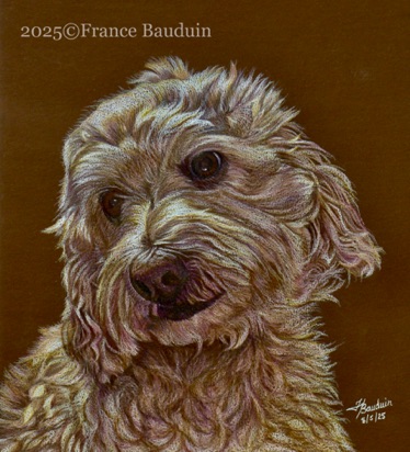 Rocky - 10 hours
Brown Colourfix Smooth paper
9" x 8.3"
Ref.: Owner's photo Rocky - 10 hours
Brown Colourfix Smooth paper
9" x 8.3"
Ref.: Owner's photo